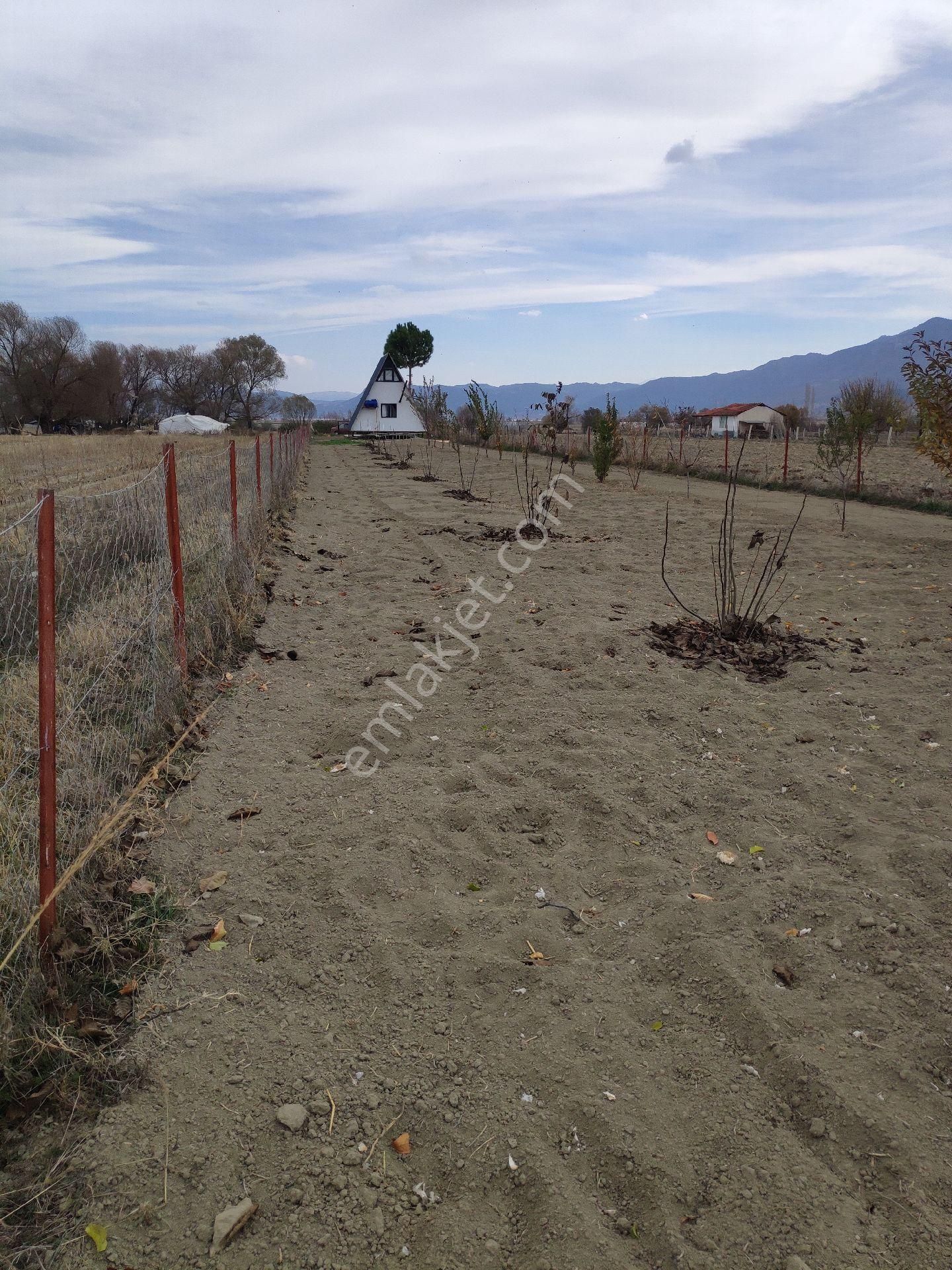 Gölhisar Armutlu 1 Dönüm Bungalov Ev Ve Tarla - Görsel 3