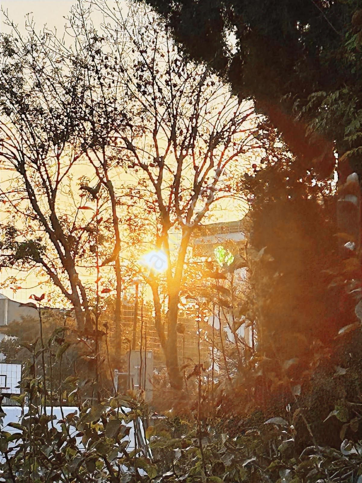 Demir Deluxe ___sahile 41 Adım Satılık Deluxe Daire___konum 10 - Görsel 34