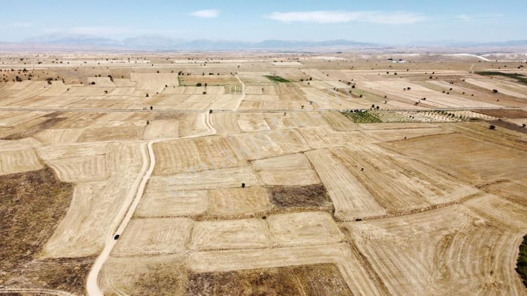 Dazkırı Yukarıyenıcede Anayola Yakın Yerleşime Yakın 3131m2 Satılık Arazi - Görsel 9
