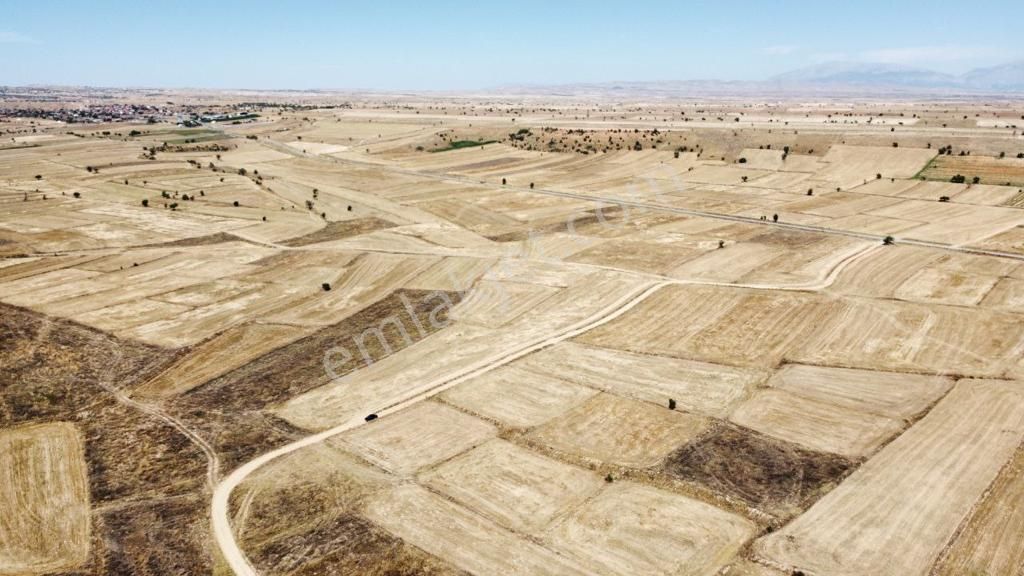 Dazkırı Yukarıyenıcede Anayola Yakın Yerleşime Yakın 3131m2 Satılık Arazi - Görsel 8