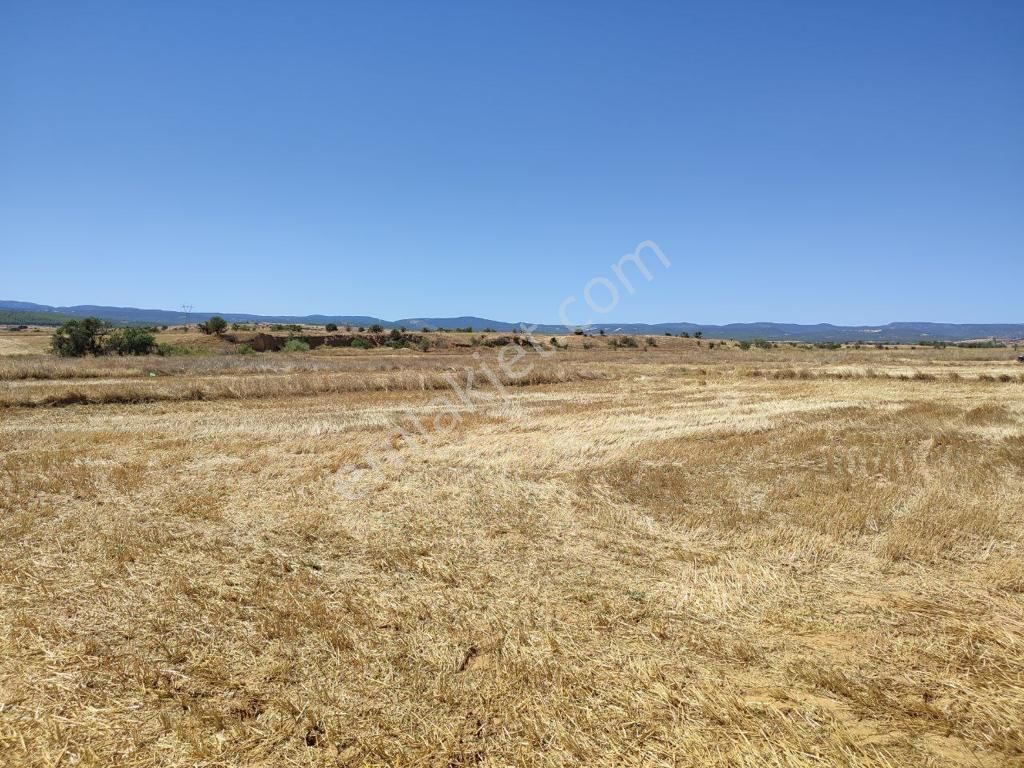 Dazkırı Yukarıyenıcede Anayola Yakın Yerleşime Yakın 3131m2 Satılık Arazi - Görsel 7