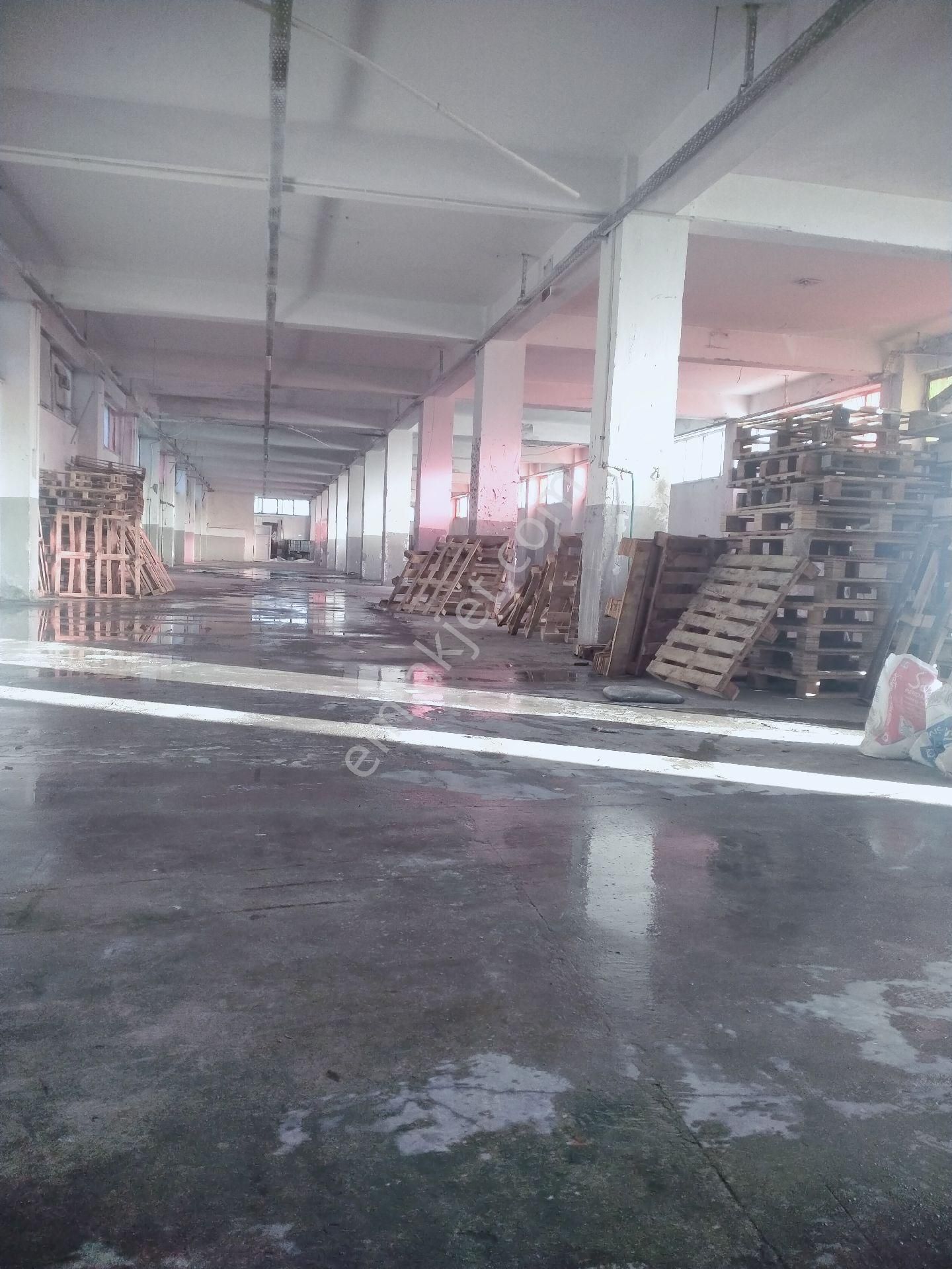 Arnavutköy Hadımköy Kiralık Fabrika - Görsel 2