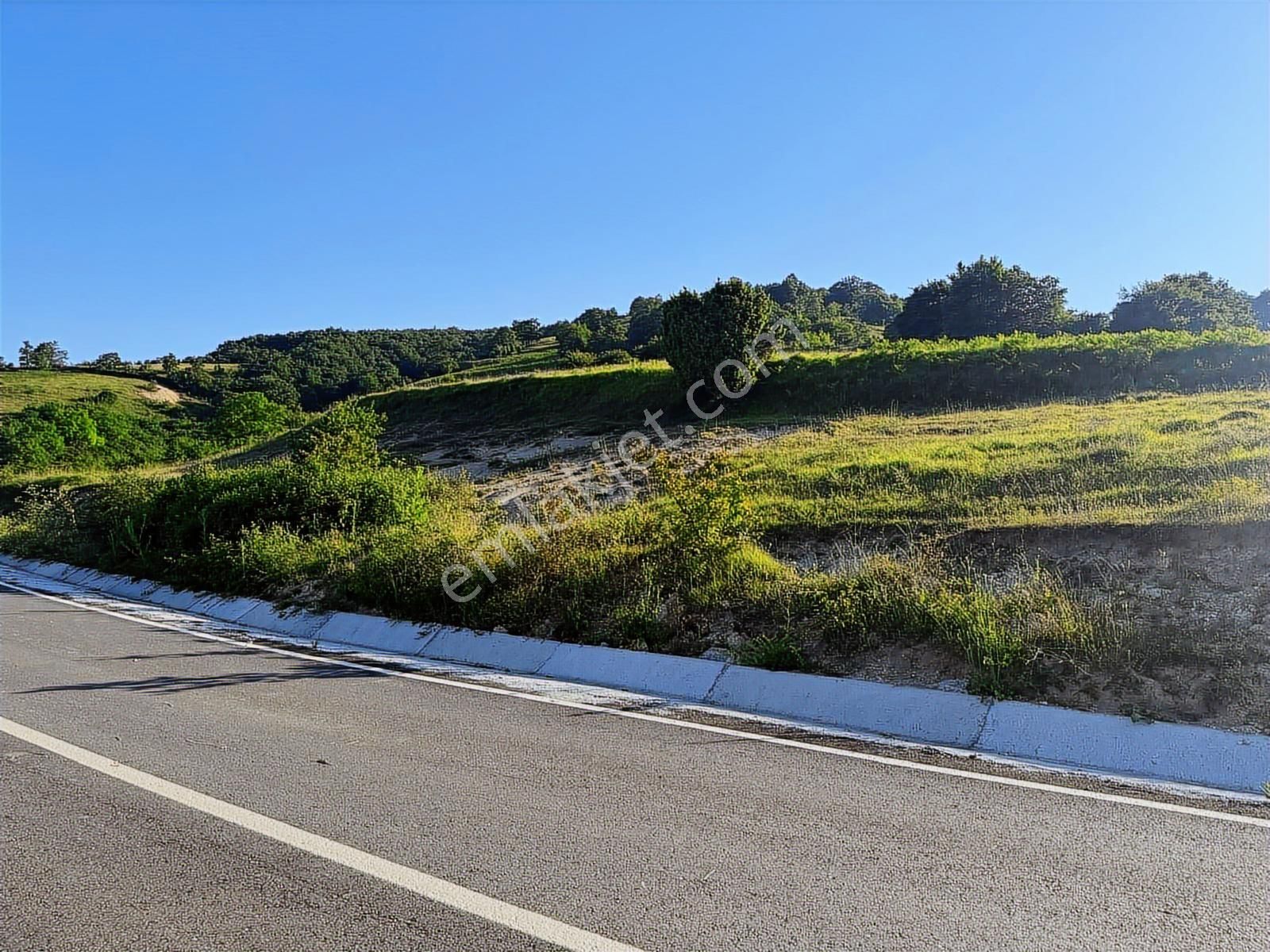 İzmit Şahinler Mahallesi'nde 2449,33 M2 %5 İmarlı Satılık Tarla - Görsel 10