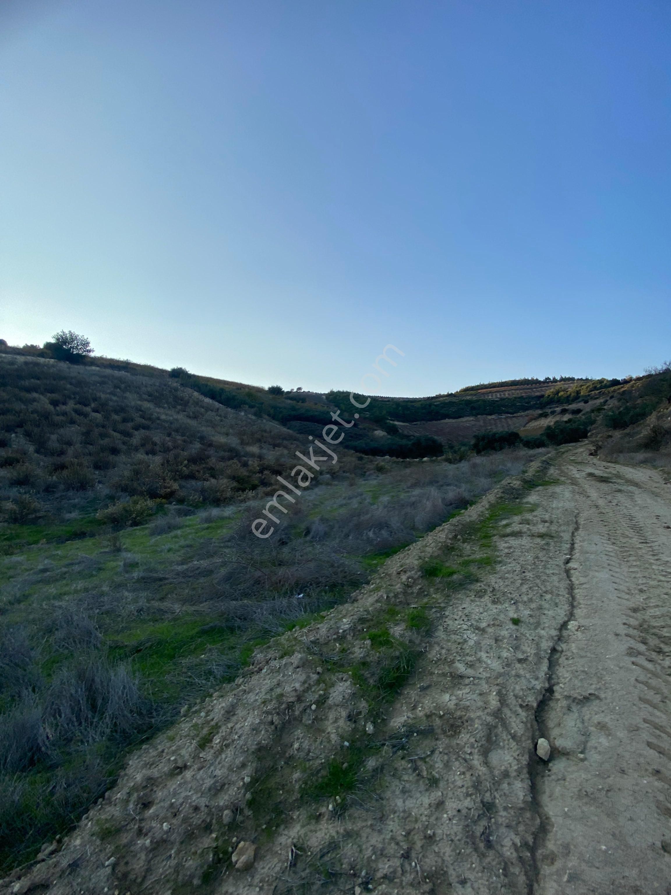 Bağcılar İhsaniye Köyünde Buluna N Yerimiz Satılıktır - Görsel 3