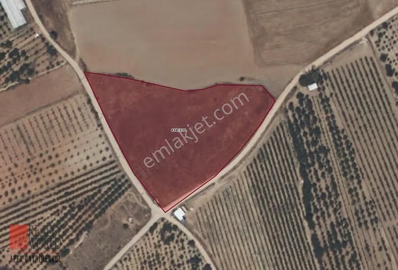 Korkuteli'nin Kalbinde Satılık Hisseli Tarla