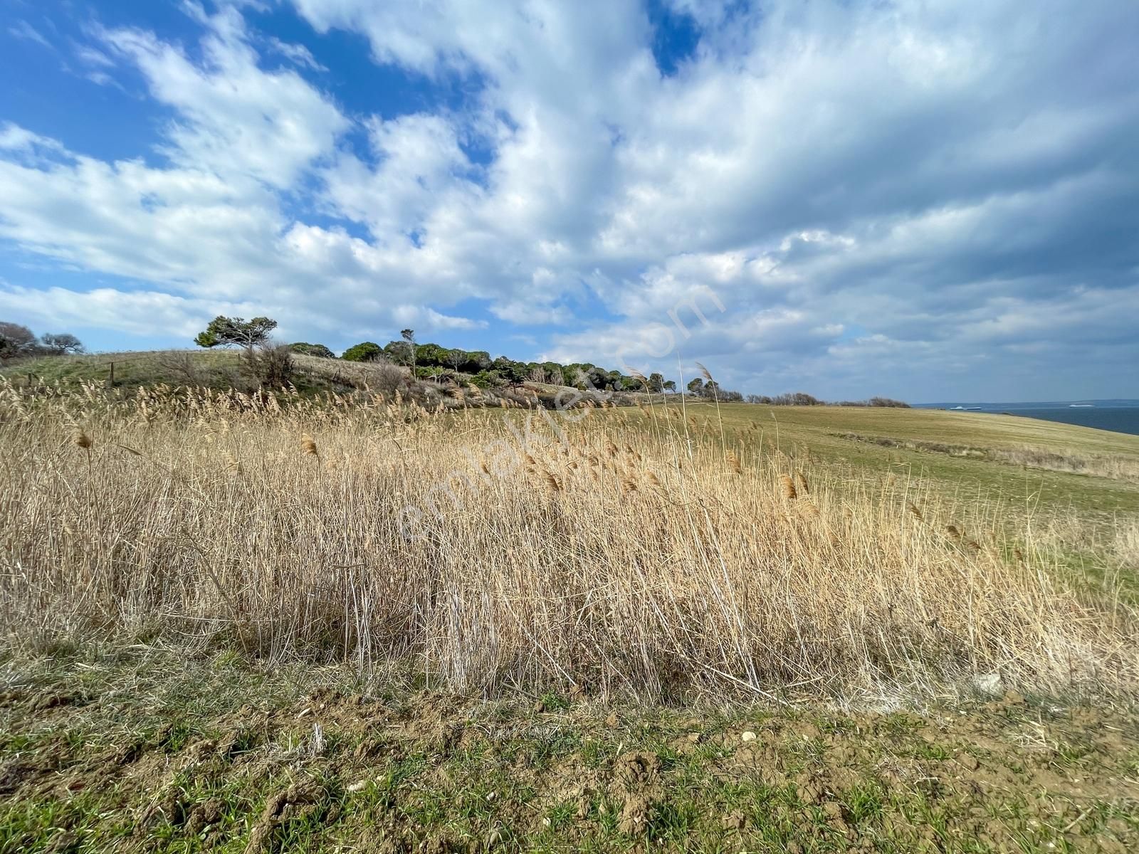 Emsalsiz Fiyat! Denize Sadece 50 Metre !! 94 M² Müstakil Tapulu - Görsel 5