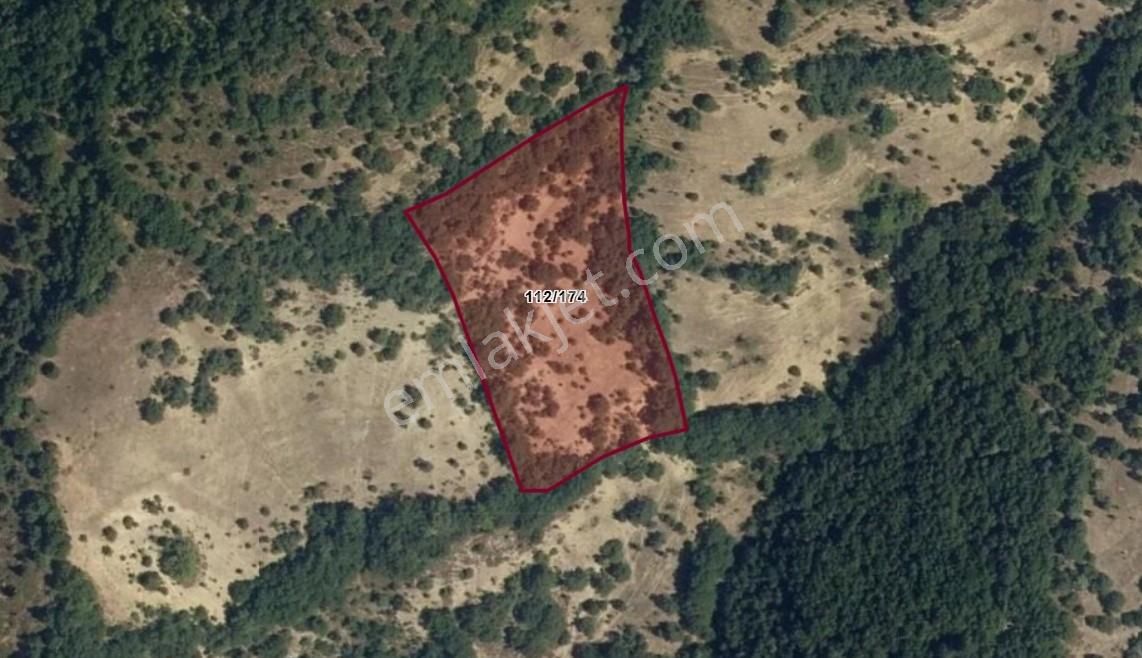 Tapulu Müstakil 8229 M2 Satılık Arsa