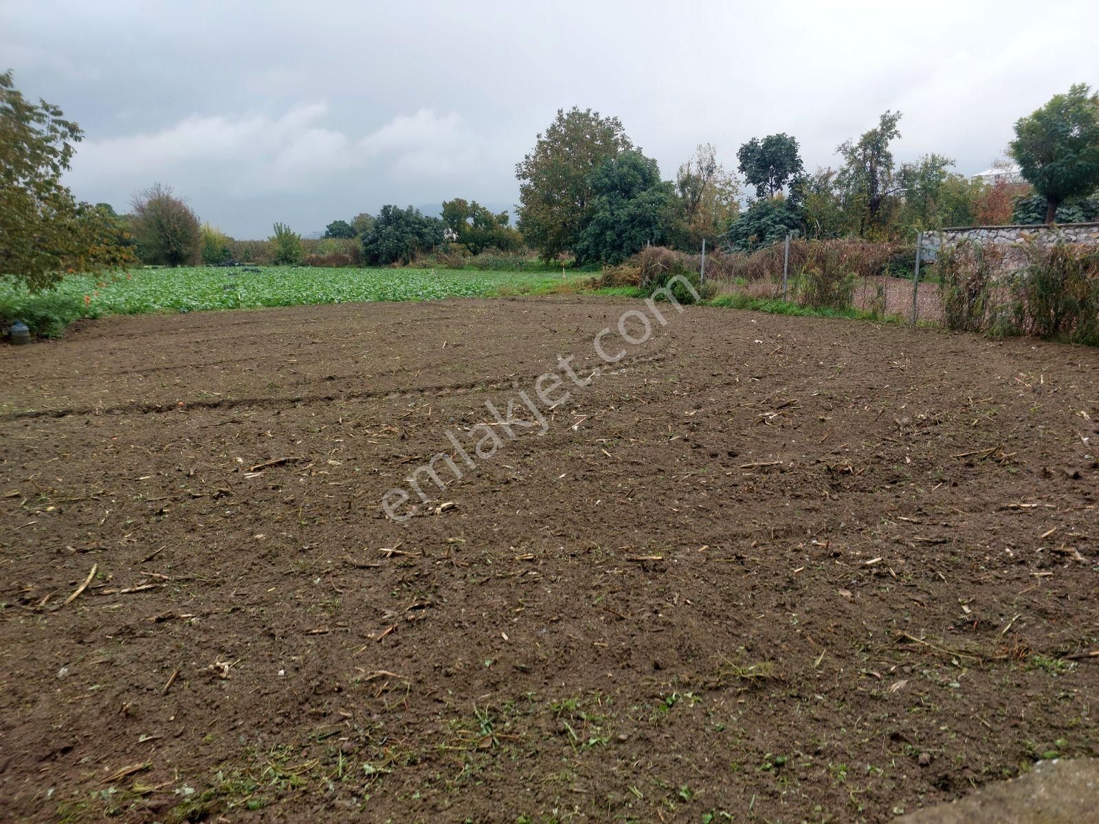 Bursa Gürsu İstiklal İmara Bitişik 98,18 M2 Tarla 1.480.000 Tl - Görsel 2