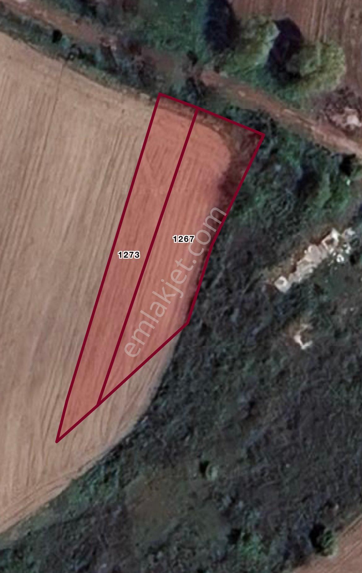 Adapazarı Doğancılar Satılık Mehmet Öztürk Remax Ay