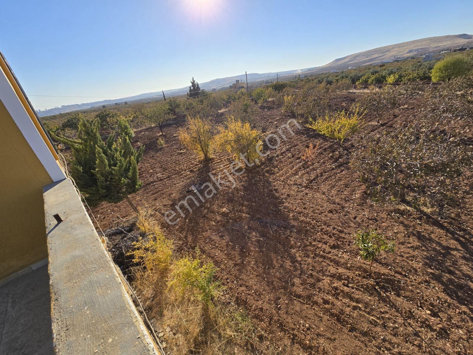 Yasin Batan'dan Hayriye Sultan Arkası Bağ Evi! - Görsel 7