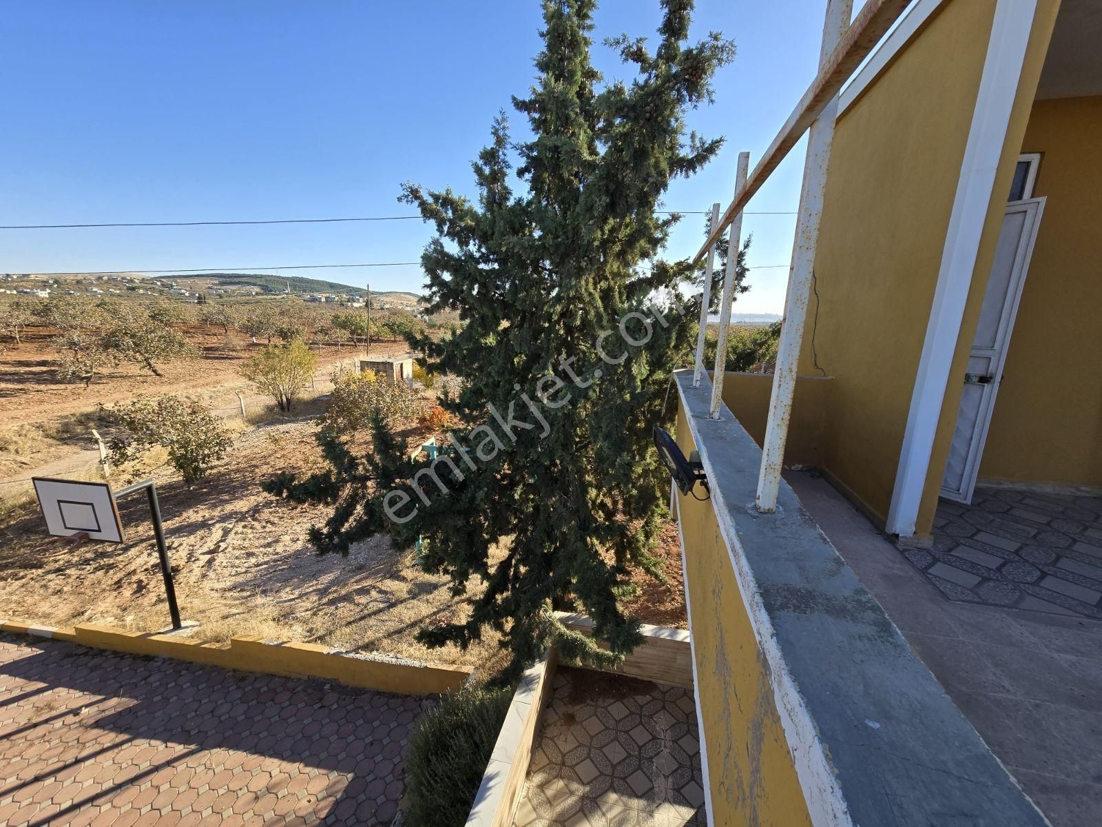 Yasin Batan'dan Hayriye Sultan Arkası Bağ Evi! - Görsel 31