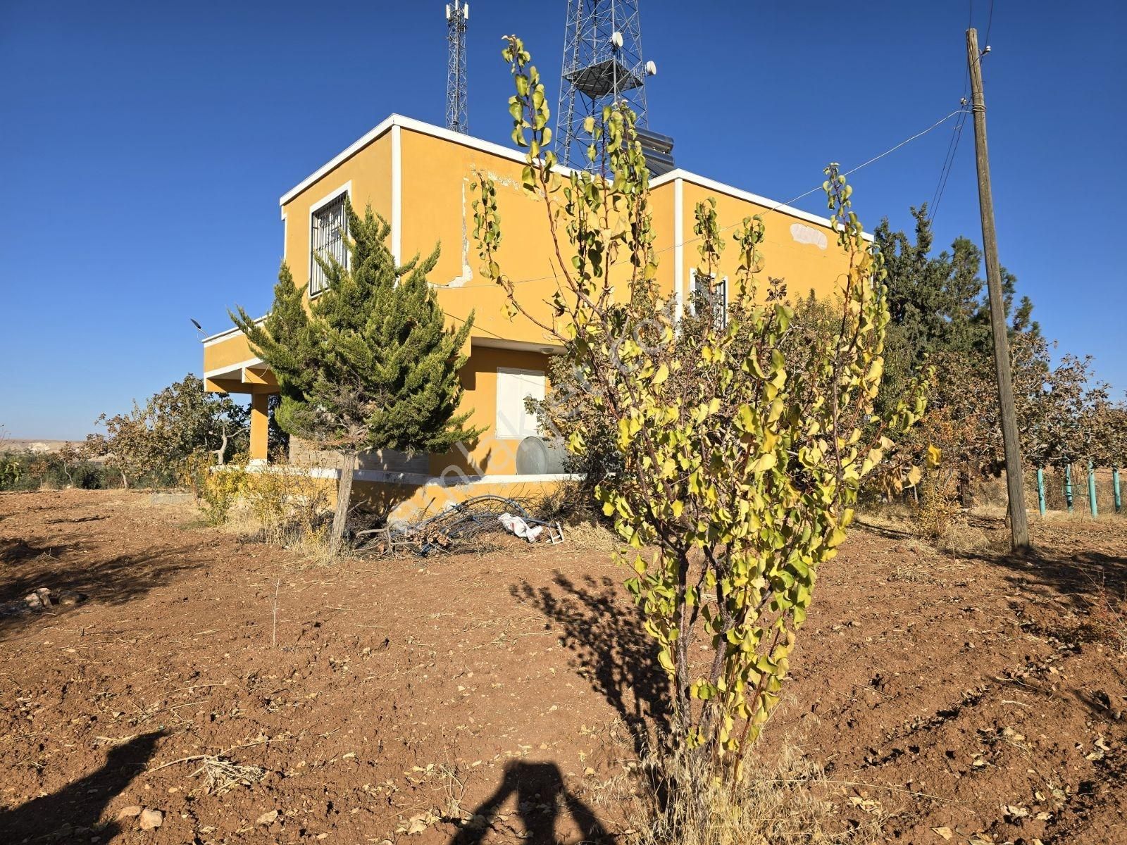 Yasin Batan'dan Hayriye Sultan Arkası Bağ Evi! - Görsel 32