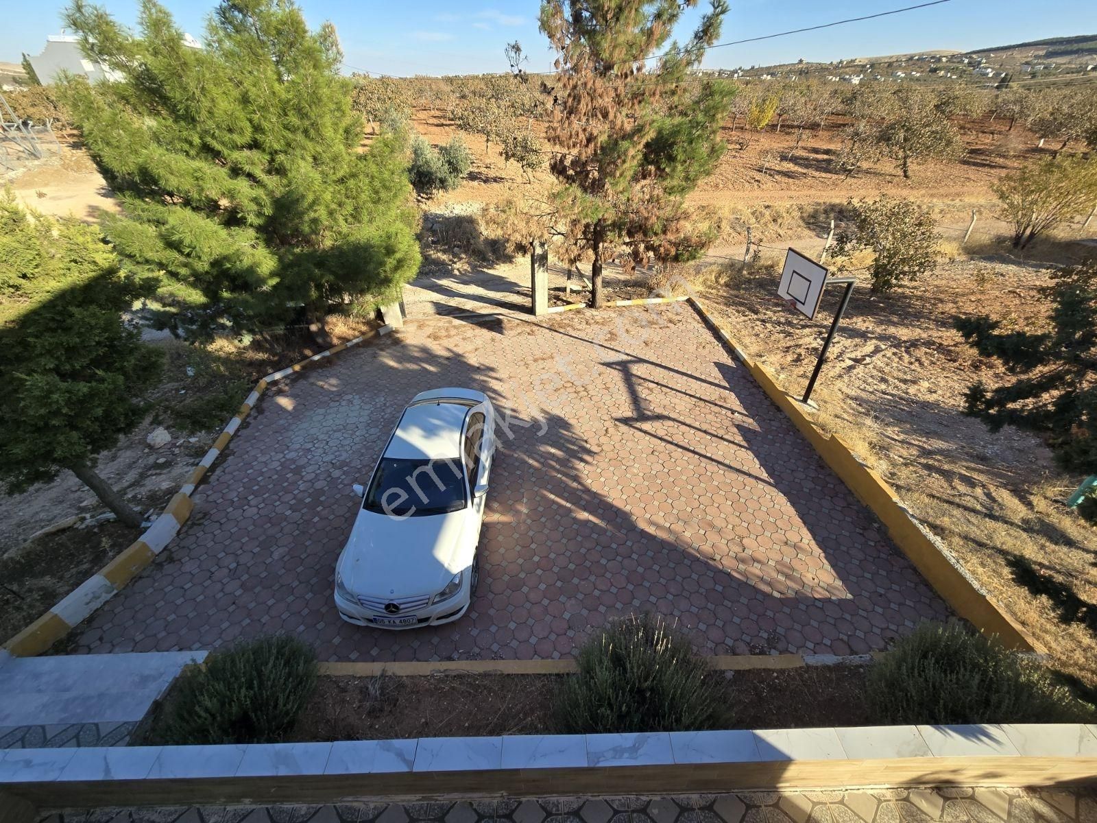 Yasin Batan'dan Hayriye Sultan Arkası Bağ Evi! - Görsel 5