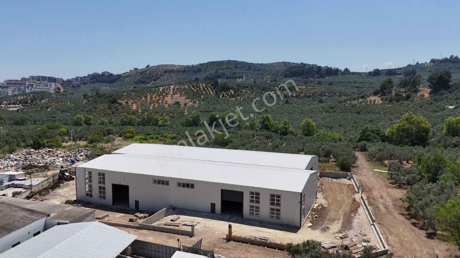 Mudanya, Işıklı Yolu Üzeri Kiralık 2ad. Fabrika/imalat/depo Yeri - Görsel 2