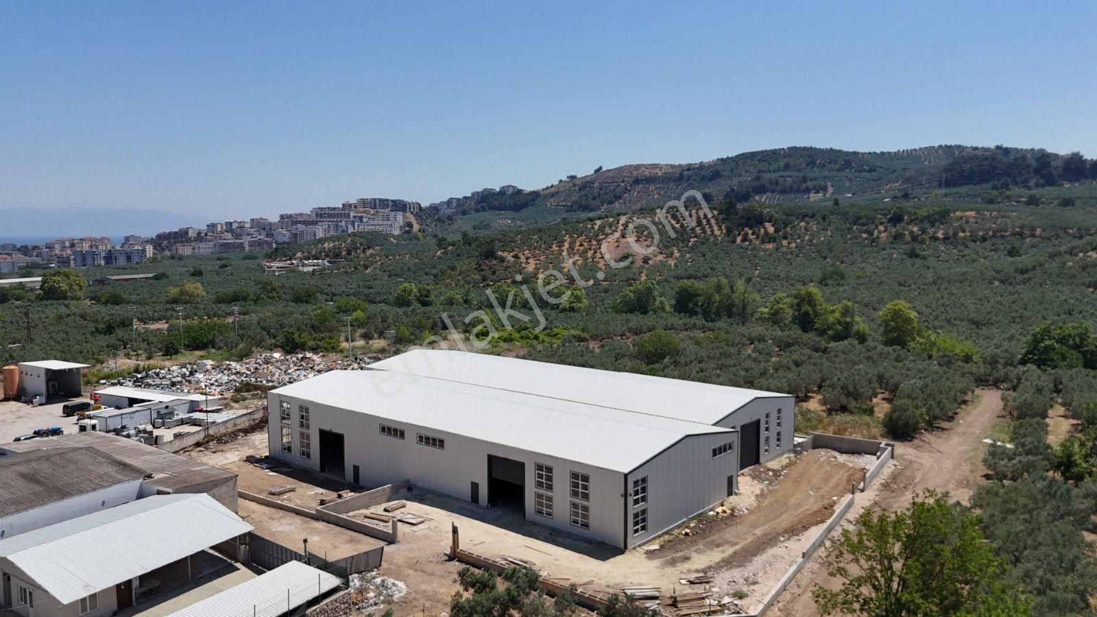 Mudanya, Işıklı Yolu Üzeri Kiralık 2ad. Fabrika/imalat/depo Yeri - Görsel 9