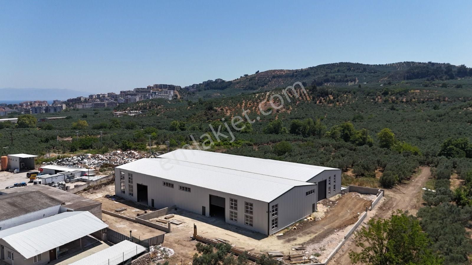 Mudanya, Işıklı Yolu Üzeri Kiralık 2ad. Fabrika/imalat/depo Yeri - Görsel 4