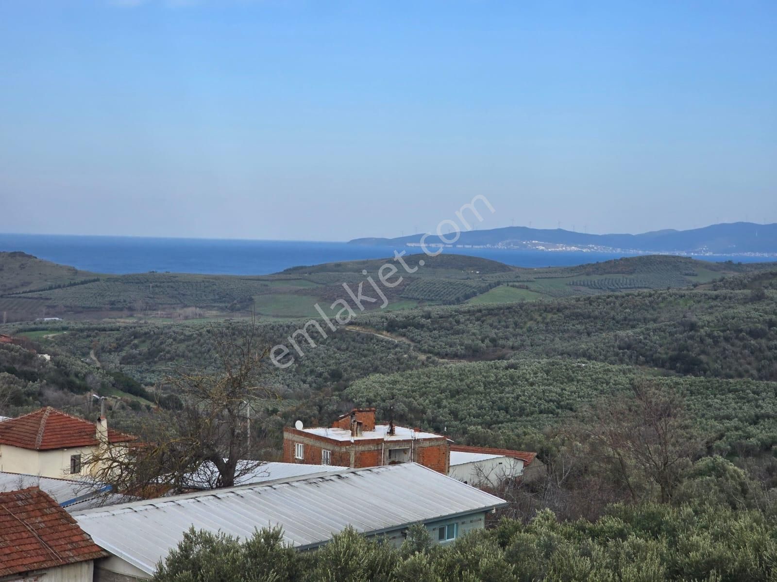 Tırpan'dan 685m2 Arsa Alanı Deniz Man. Asfalta Cephe Müstakil Ev