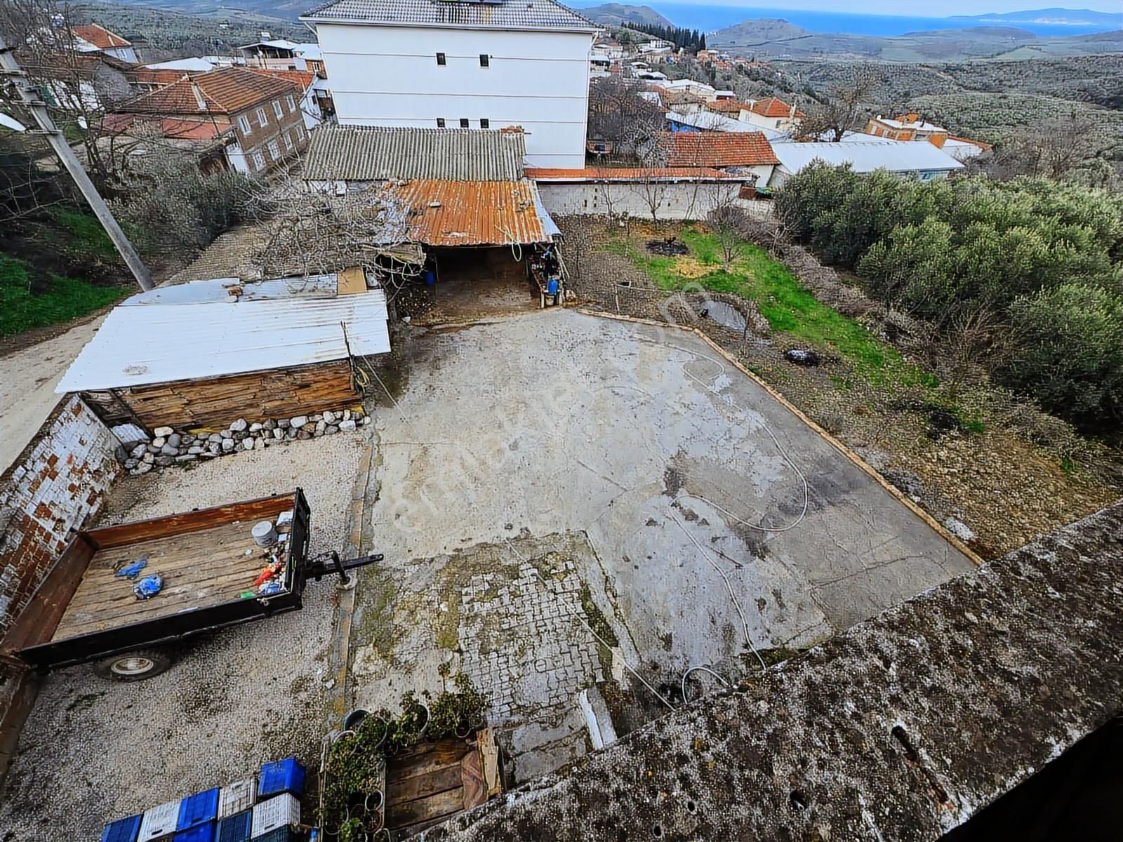 Tırpan'dan 685m2 Arsa Alanı Deniz Man. Asfalta Cephe Müstakil Ev - Görsel 17