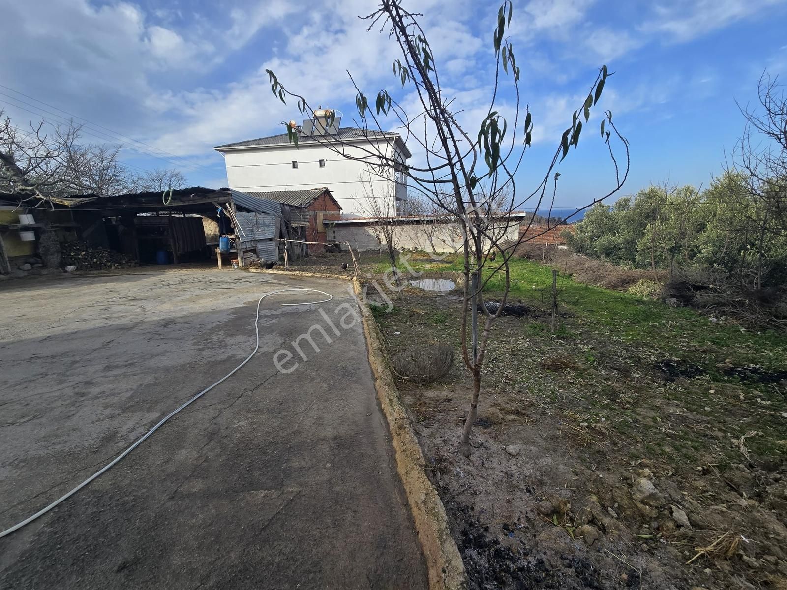 Tırpan'dan 685m2 Arsa Alanı Deniz Man. Asfalta Cephe Müstakil Ev - Görsel 13