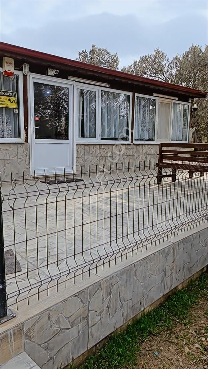 Balıkesir, Havran, Kocadağ,gevenlik Mevkiinde Satılık Zeytinlik - Görsel 9