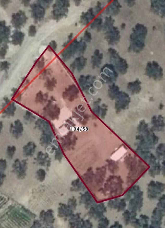 Balıkesir, Havran, Kocadağ,gevenlik Mevkiinde Satılık Zeytinlik - Görsel 34