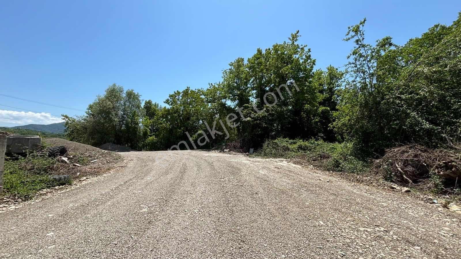 Bartın Kozcağız'da Sanayi İmarlı Satılık 1.375 M2 Arsa - Görsel 2