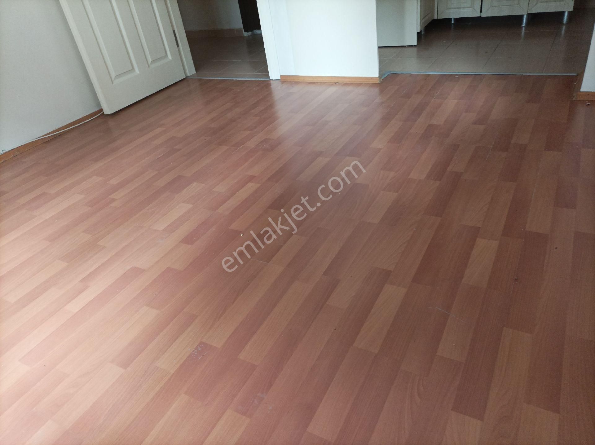 Avcılar Mustafa Kemalpasa Da 2+1