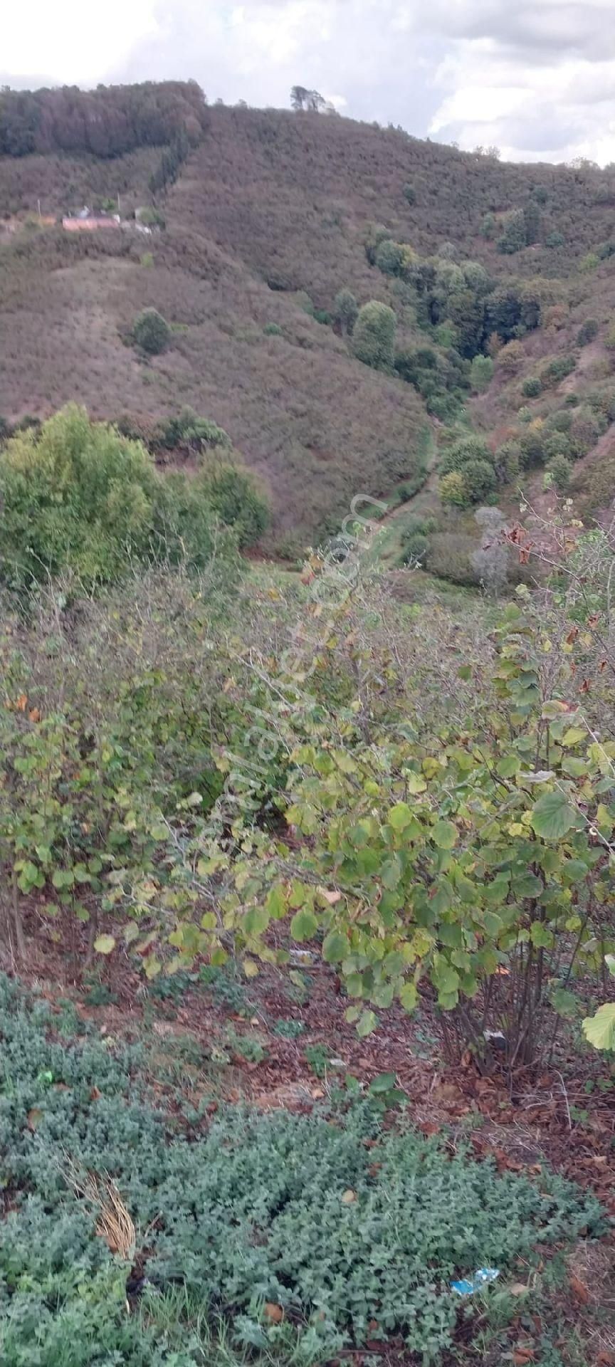 Sakarya İli Karasu İlçesi Konacık Köyünde Satılık - Görsel 9