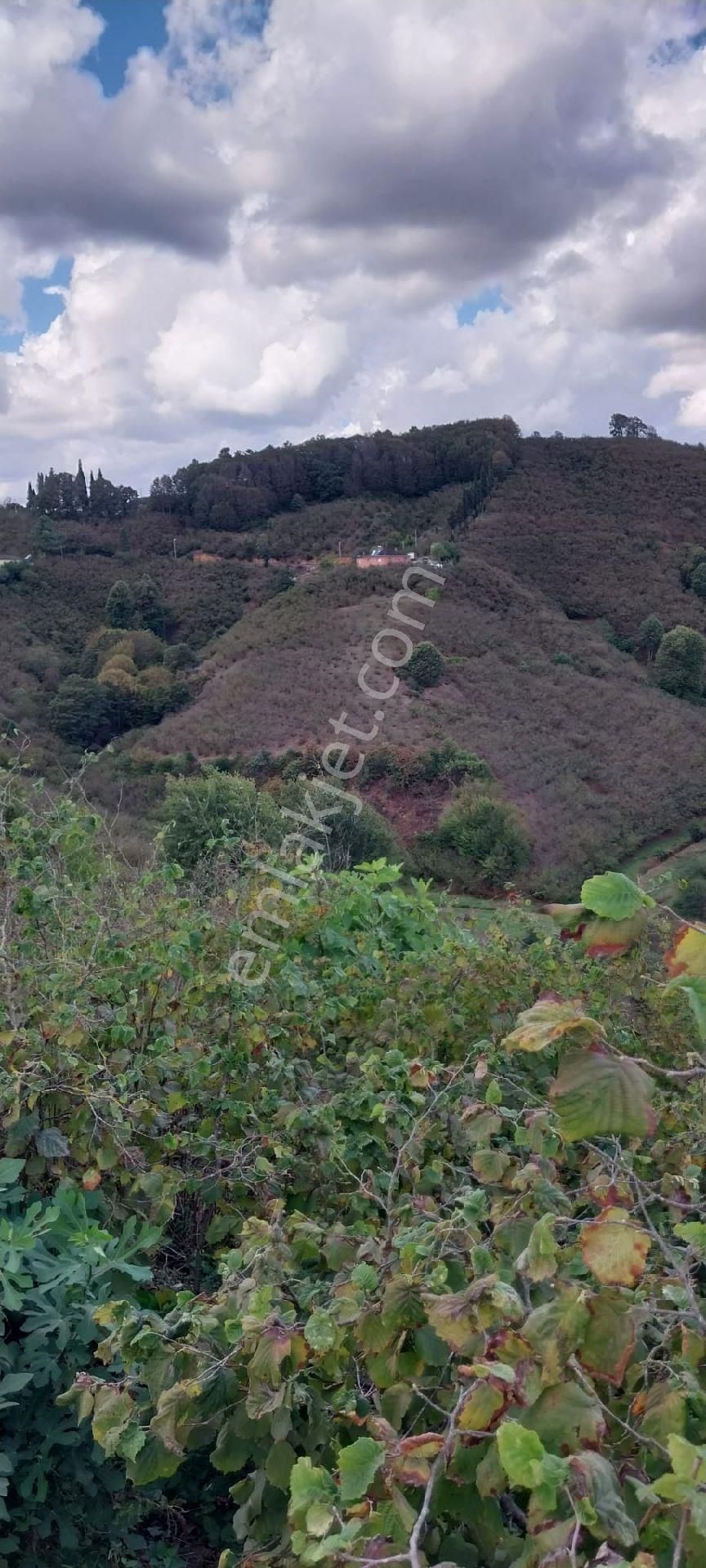 Sakarya İli Karasu İlçesi Konacık Köyünde Satılık - Görsel 24