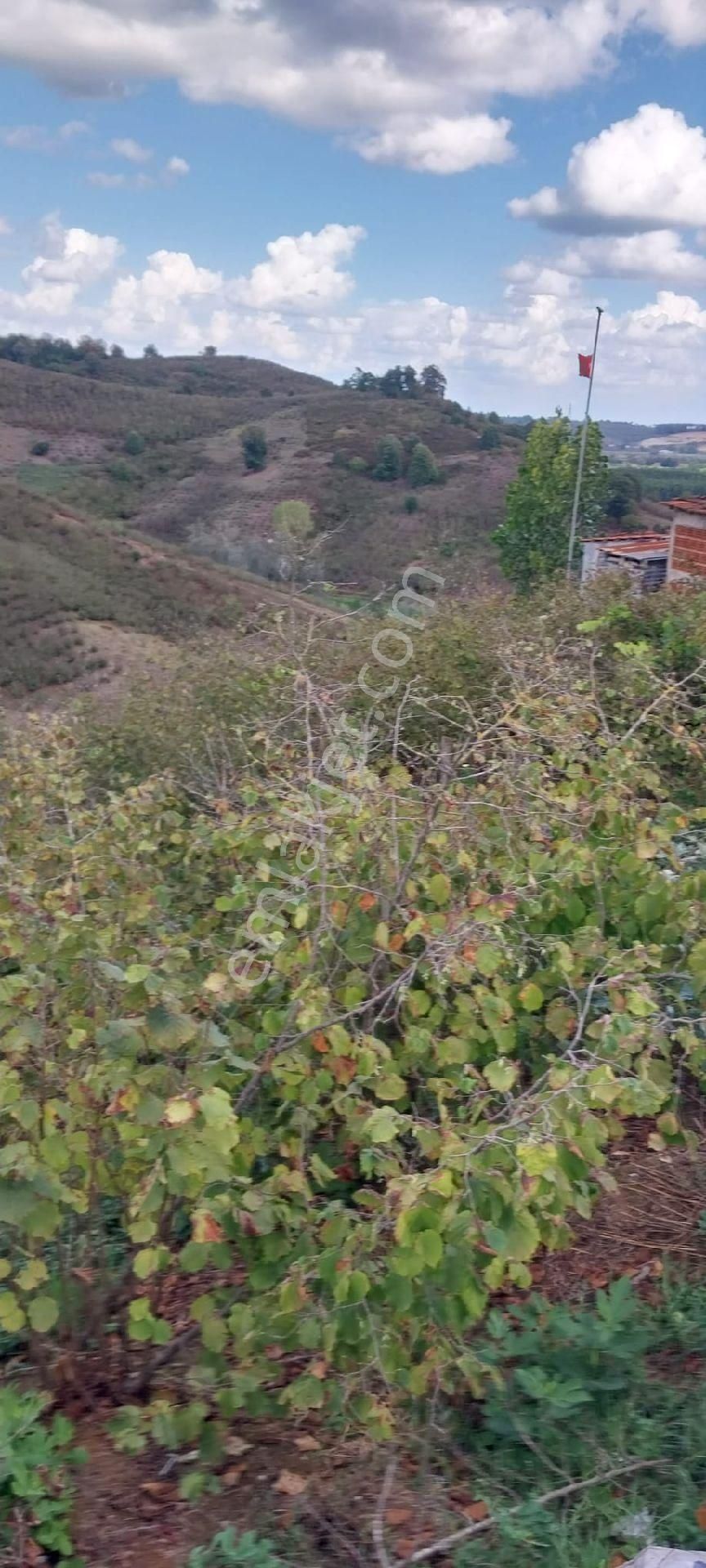 Sakarya İli Karasu İlçesi Konacık Köyünde Satılık - Görsel 2