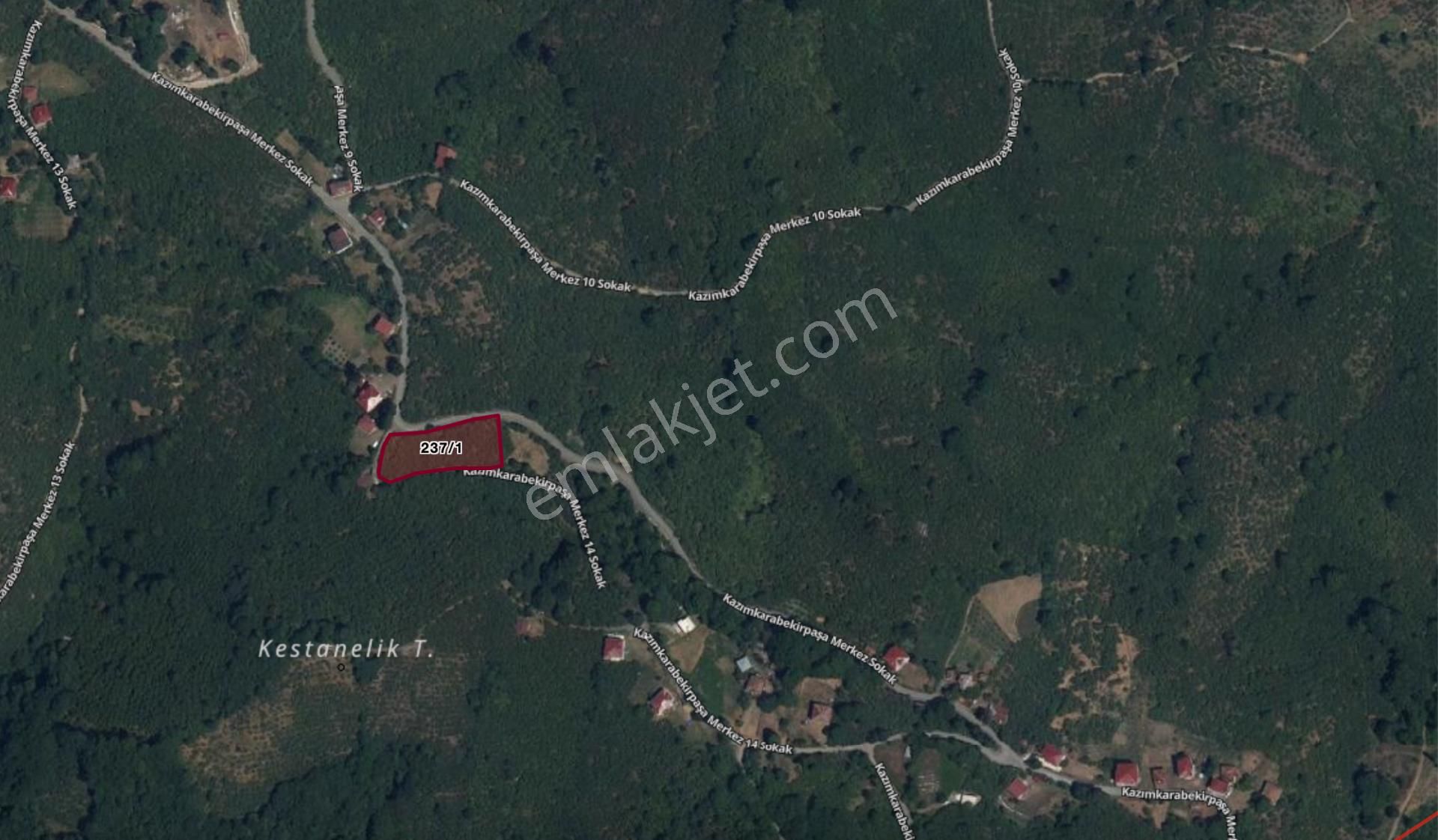 Truva'dan Terme Kazımkarabekirpaşa'da Elektrik Suyu Hazır Fındıklık - Görsel 2