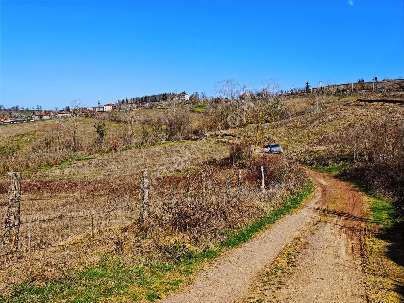Turyap Körfezden Böğürgen Seferlerde Satılık 14.381 M2 Fındıklık - Görsel 2