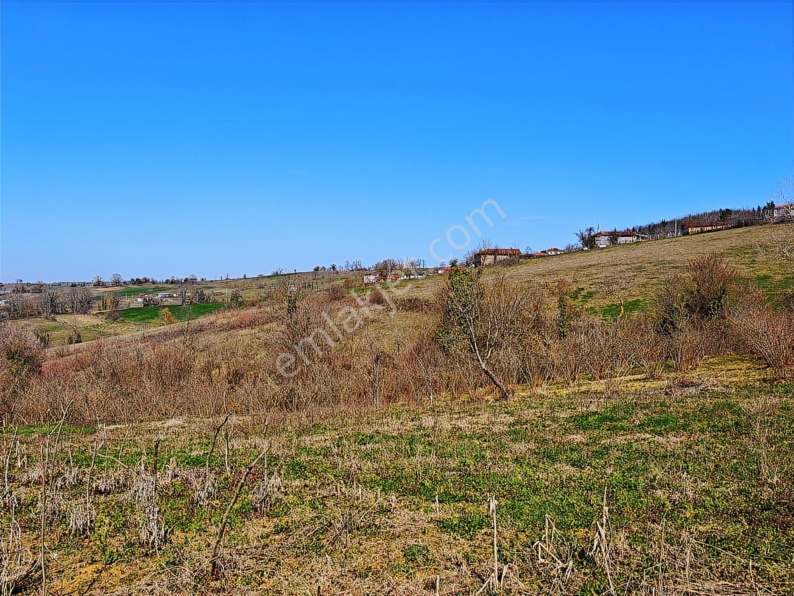 Turyap Körfezden Böğürgen Seferlerde Satılık 14.381 M2 Fındıklık - Görsel 28