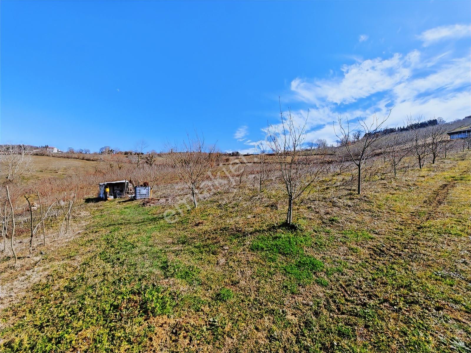 Turyap Körfezden Böğürgen Seferlerde Satılık 14.381 M2 Fındıklık - Görsel 16