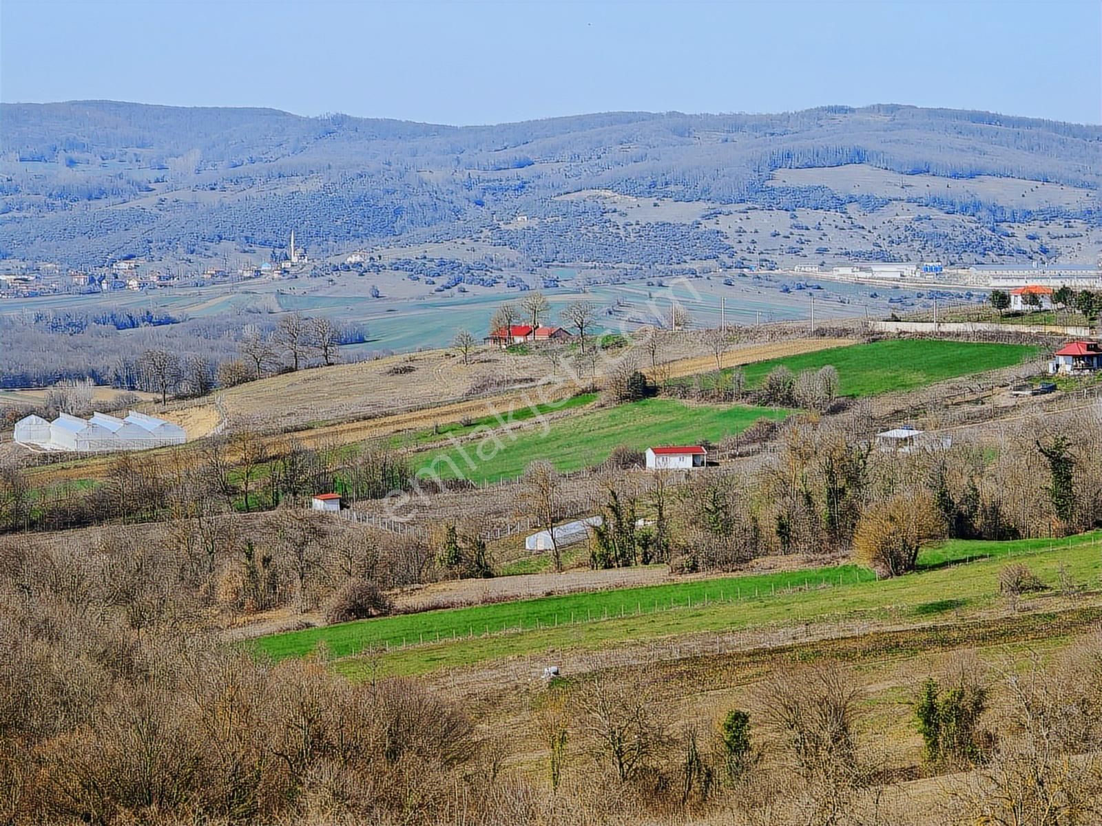 Turyap Körfezden Böğürgen Seferlerde Satılık 14.381 M2 Fındıklık - Görsel 20