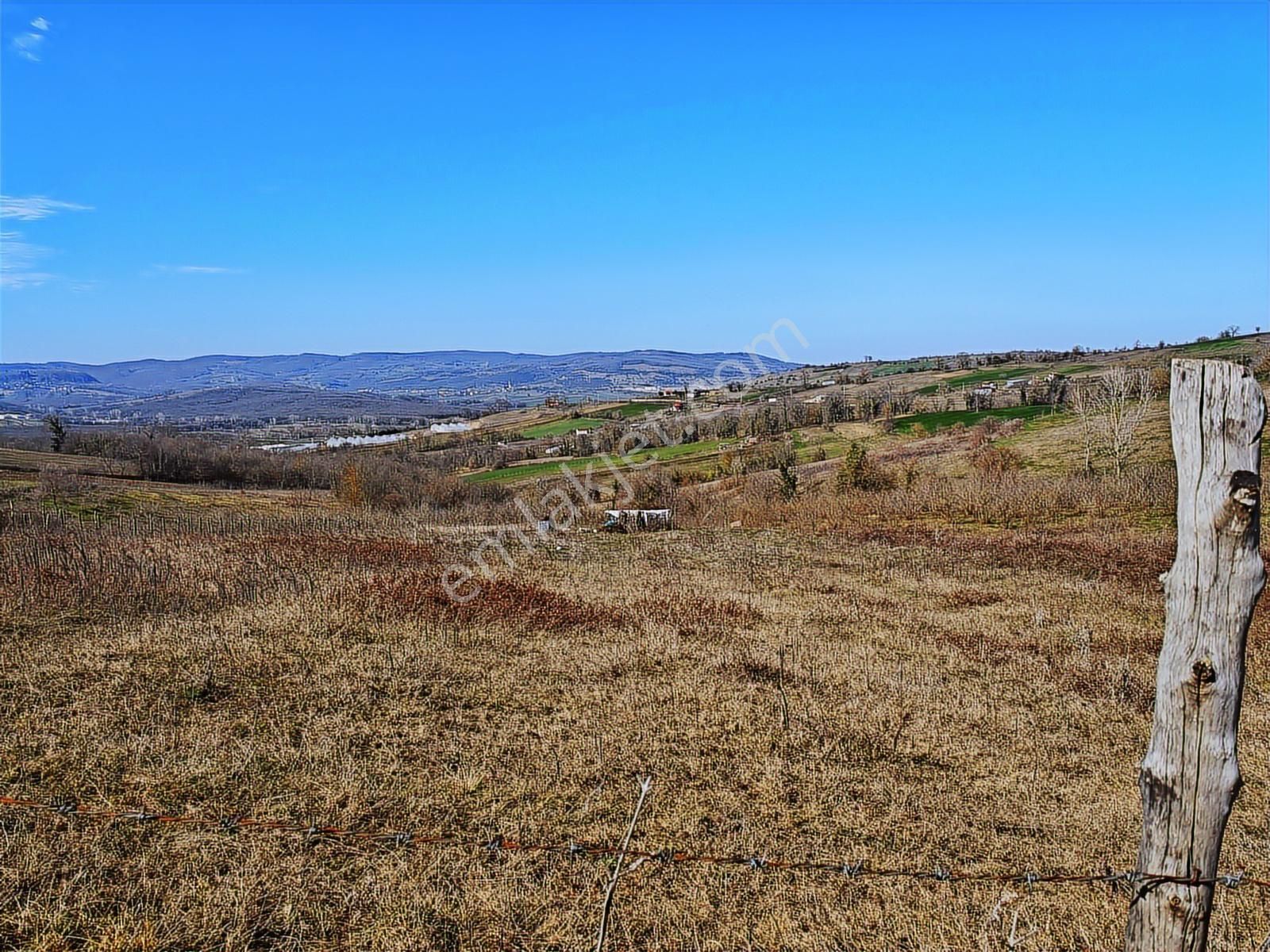 Turyap Körfezden Böğürgen Seferlerde Satılık 14.381 M2 Fındıklık - Görsel 23