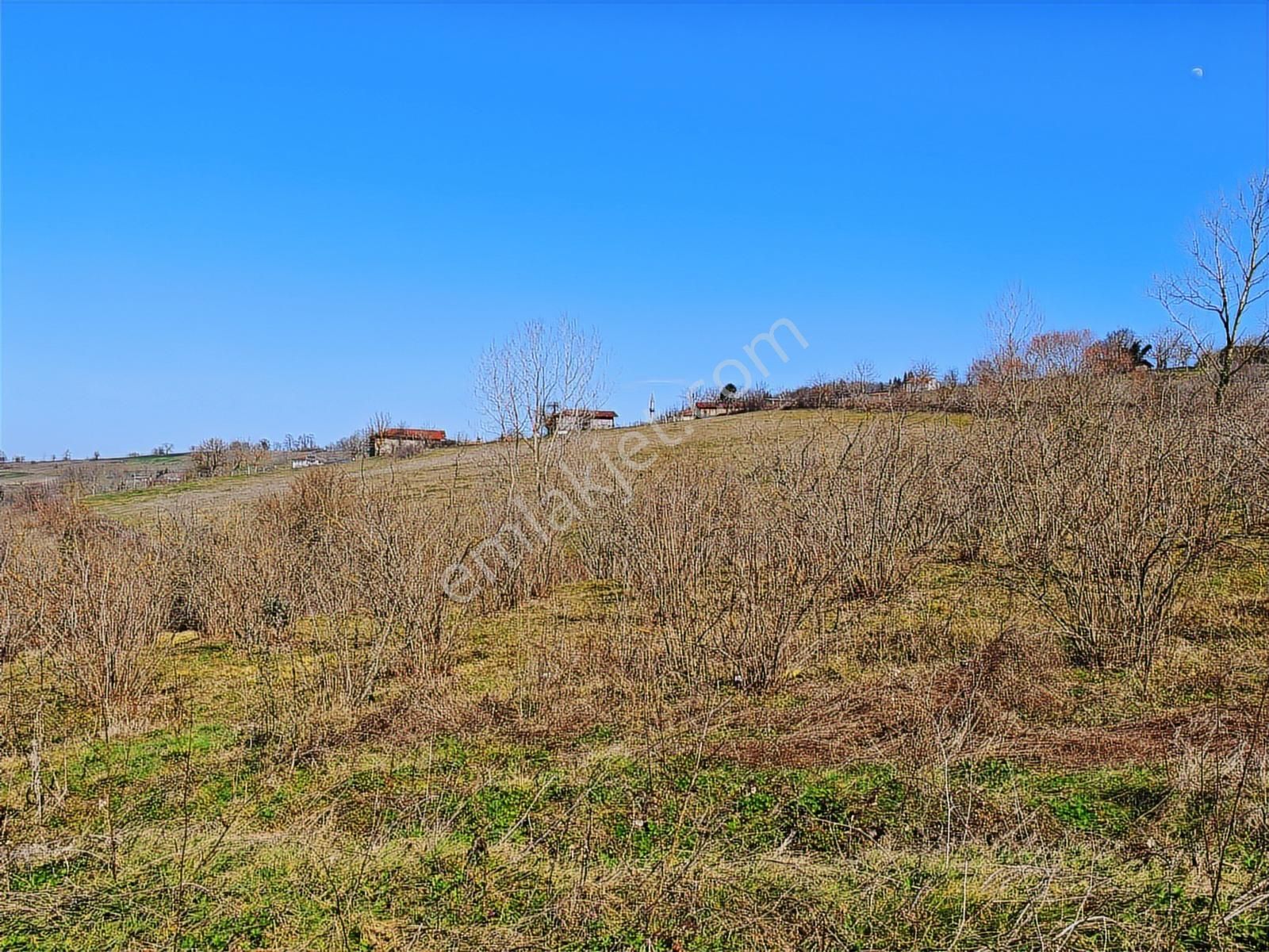 Turyap Körfezden Böğürgen Seferlerde Satılık 14.381 M2 Fındıklık - Görsel 13