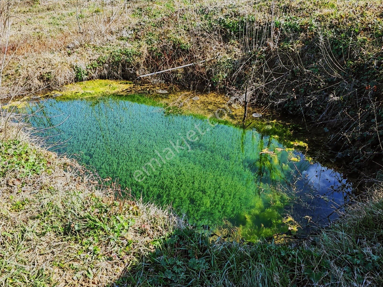 Turyap Körfezden Böğürgen Seferlerde Satılık 14.381 M2 Fındıklık - Görsel 9