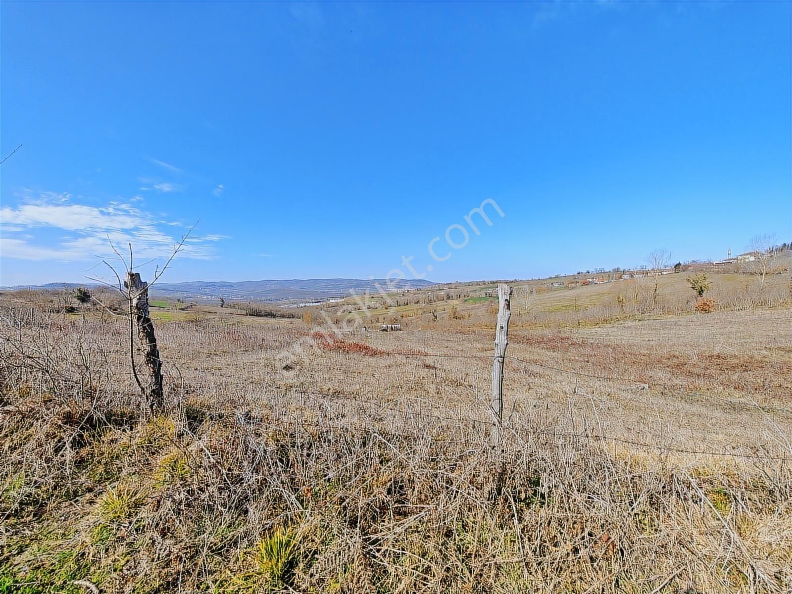 Turyap Körfezden Böğürgen Seferlerde Satılık 14.381 M2 Fındıklık - Görsel 24