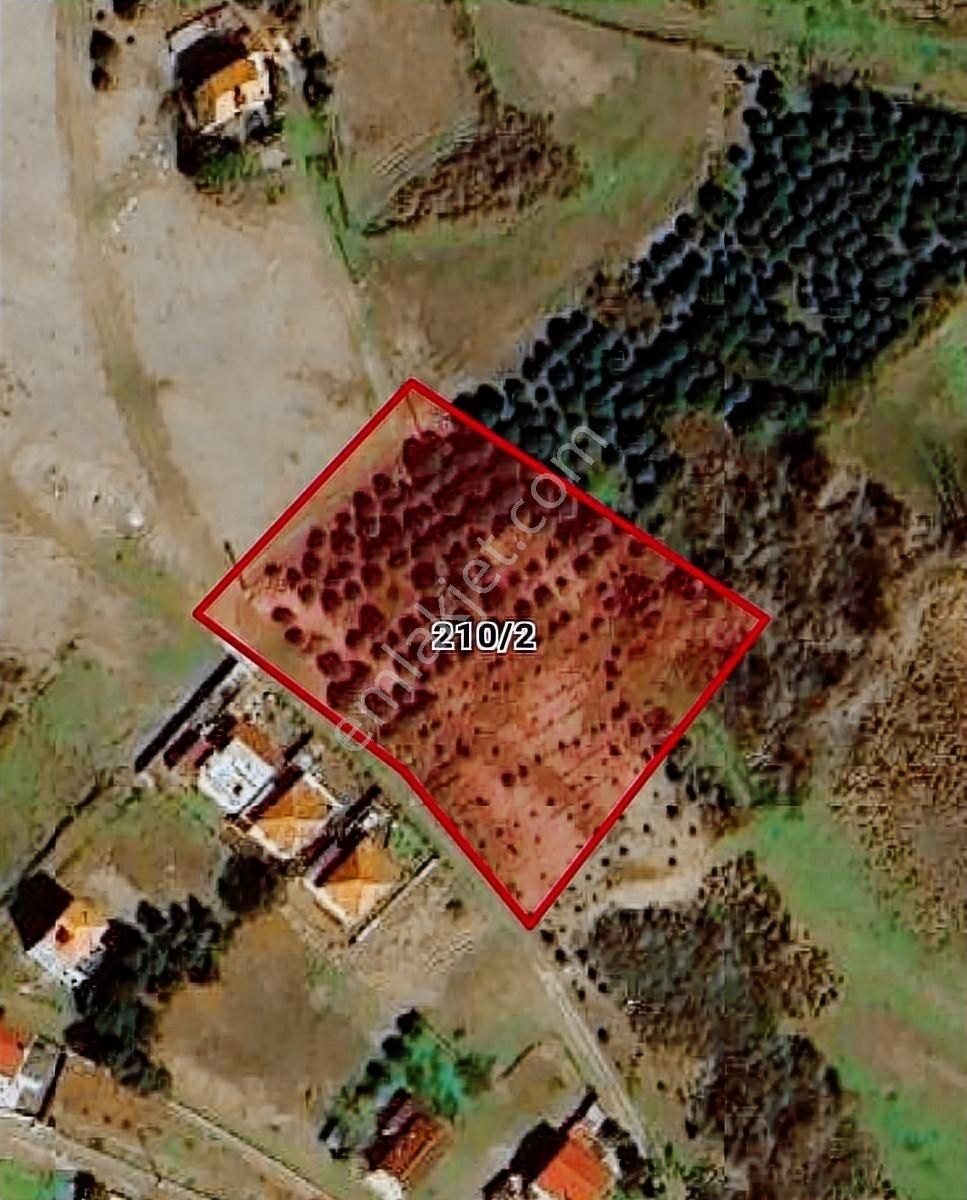 Samsun Bafrada Acil Satılık Denize Sıfır Villalık Arazi - Görsel 3