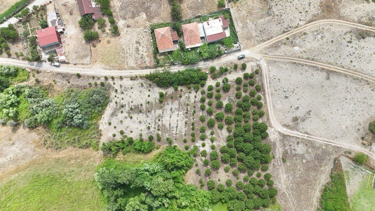 Samsun Bafrada Acil Satılık Denize Sıfır Villalık Arazi - Görsel 19