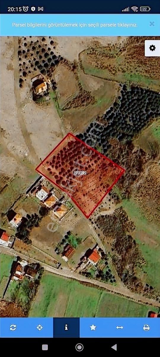 Samsun Bafrada Acil Satılık Denize Sıfır Villalık Arazi - Görsel 12