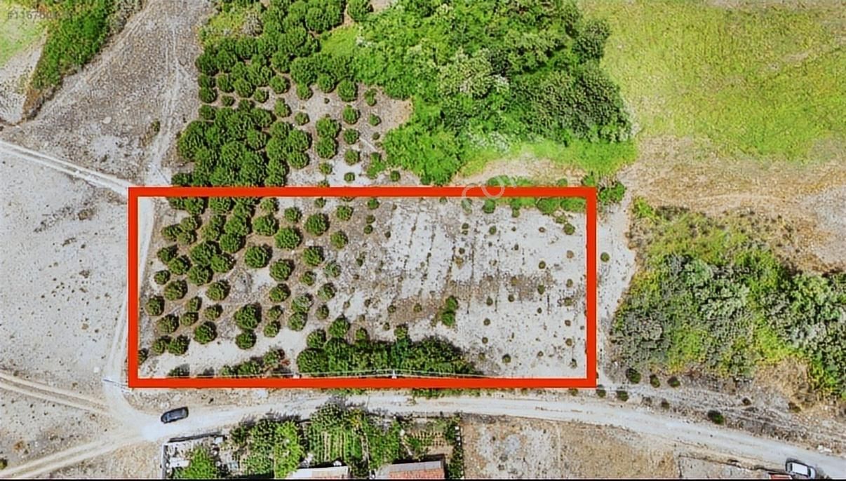 Samsun Bafrada Acil Satılık Denize Sıfır Villalık Arazi - Görsel 10