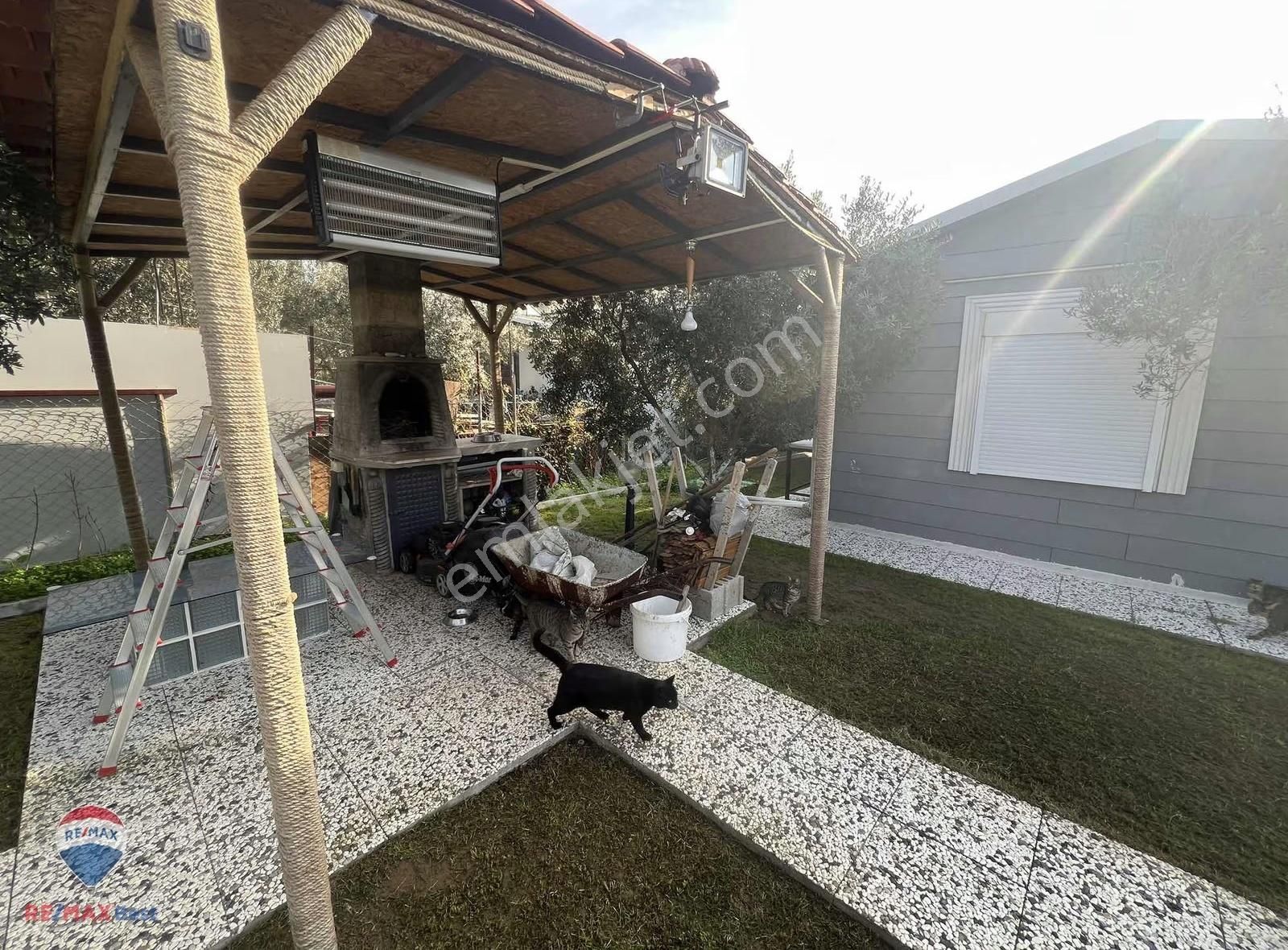 24 Foça Bağarası Zeytınlı Hobı Bahçesınde Satılık 414 M2 Tarla - Görsel 9