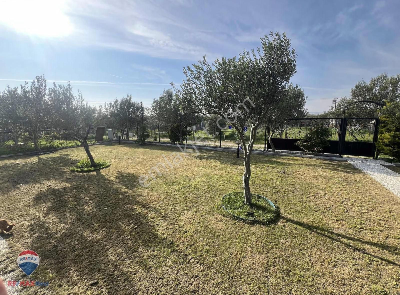 24 Foça Bağarası Zeytınlı Hobı Bahçesınde Satılık 414 M2 Tarla - Görsel 7