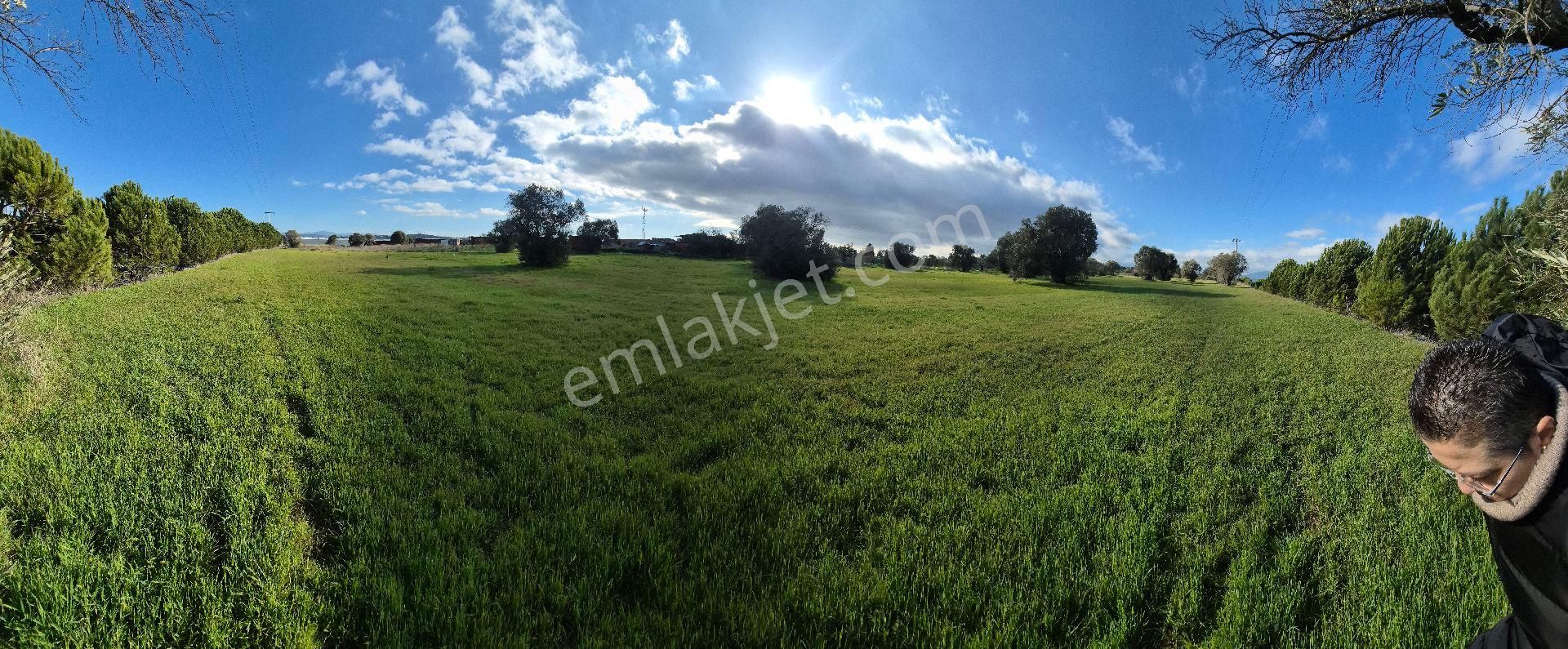 Urla Altıntaş Mah.tarla - Görsel 2