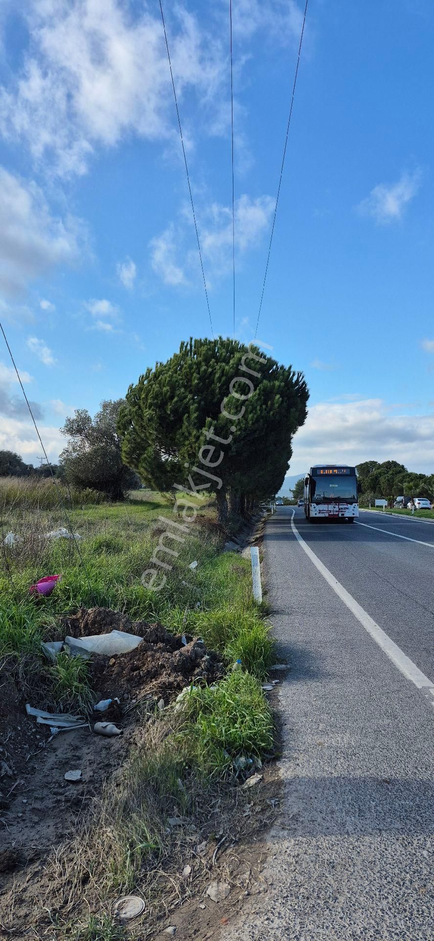 Urla Altıntaş Mah.tarla - Görsel 3