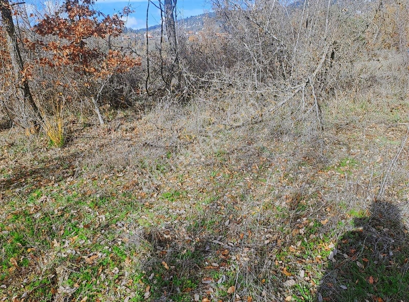 Antalya Akseki Mahmut Köyü De 662m Bağ Yeri Satılık Olup - Görsel 9