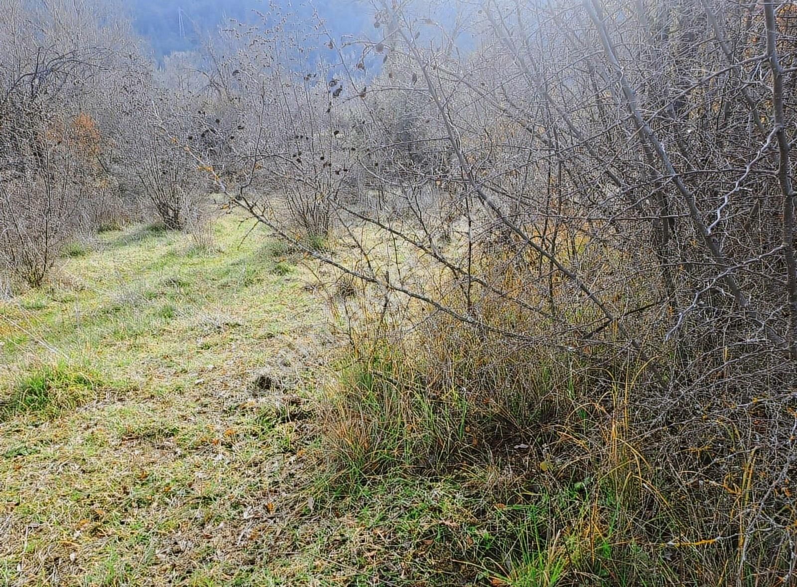 Antalya Akseki Mahmut Köyü De 662m Bağ Yeri Satılık Olup - Görsel 13