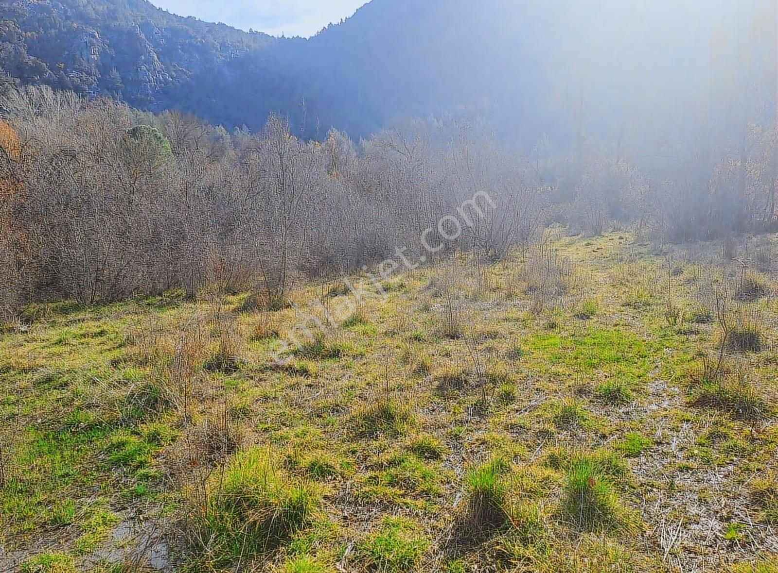 Antalya Akseki Mahmut Köyü De 662m Bağ Yeri Satılık Olup - Görsel 12